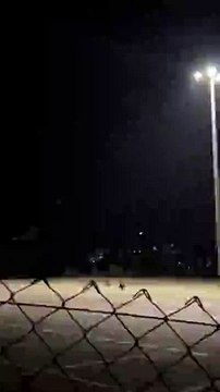 Teramo si sveglia con i cinghiali a spasso nel parcheggio dell'Universit?