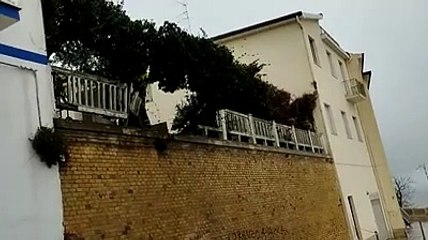 Ortona, crolla il muro del giardino del palazzo vescovile