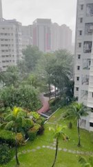 Gray Skies, Cozy Vibes