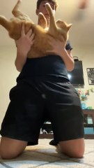 Too Sleepy To Do Homework