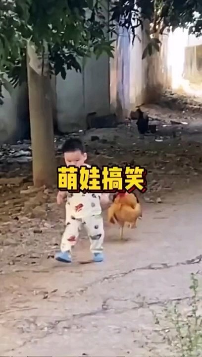 Crazy video