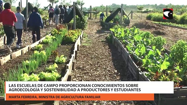 Las escuelas de campo proporcionan conocimientos sobre agroecología y sostenibilidad a productores y estudiantes