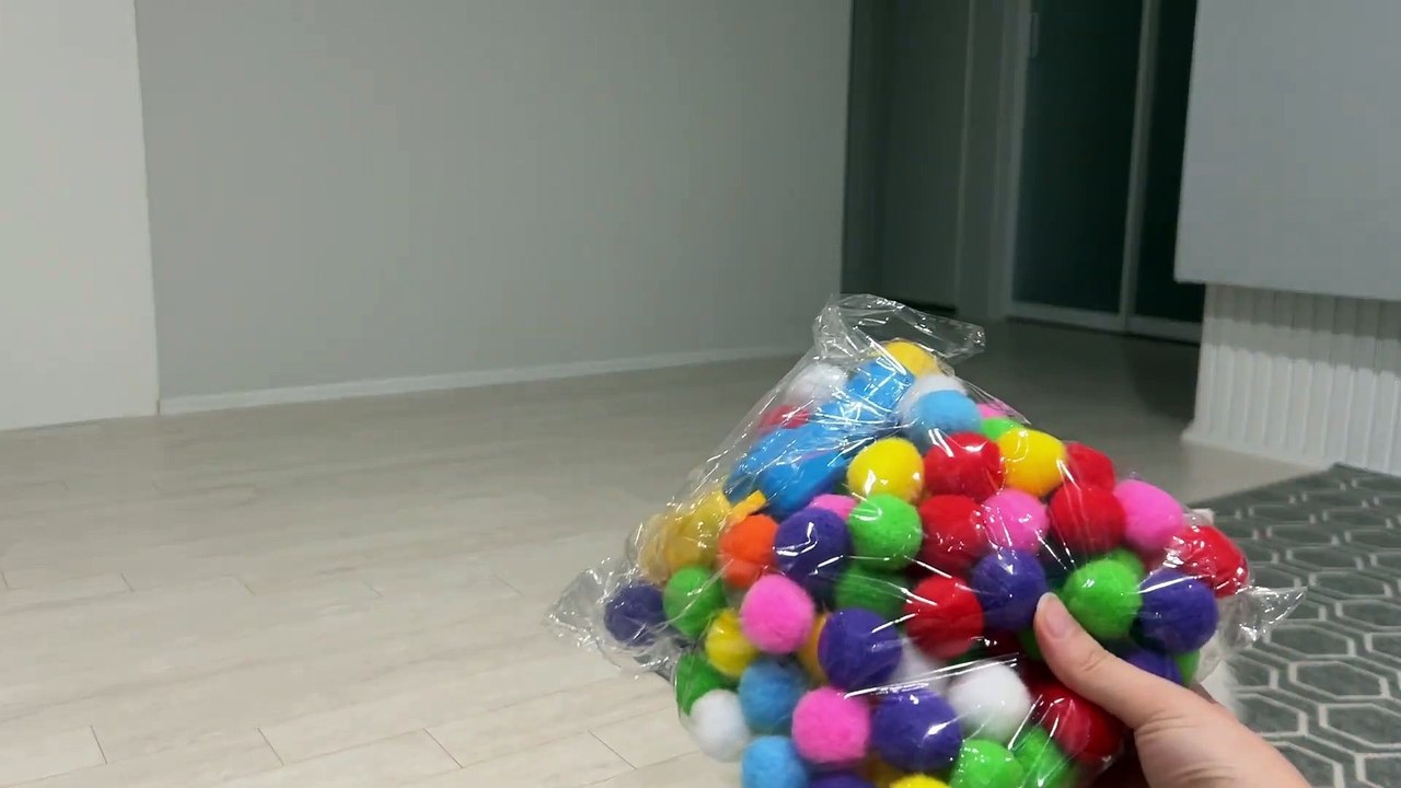 Trying out a New Cat Toy ###@@!!!gd