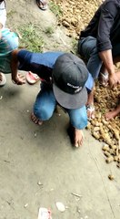 gally boy India bangoli boy