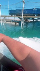 Prince Harry's Surfing Adventure 🌊