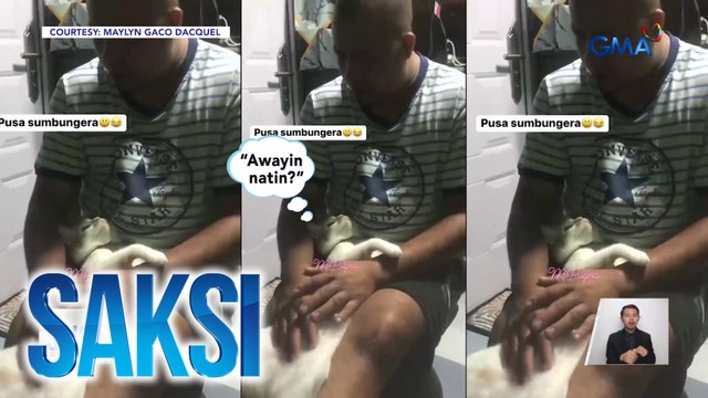 Pusang si Mingming, halos bumaliktad para makaiwas sa pangungulit at tila marunong pang magsumbong | Saksi