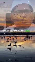 Tahu Tak Apa Perkataan Yang Allah Sangat Suka? Dato Shamsuri Ahmad