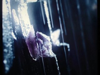 Into The Abyss (2022)