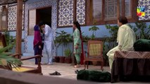 Ranjha Ranjha Kardi Episode _25 HUM TV Drama 20 April 2019(720P_HD)