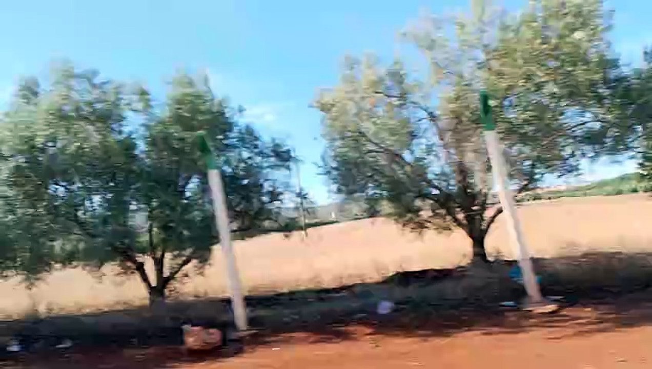 المدير الفلاحي