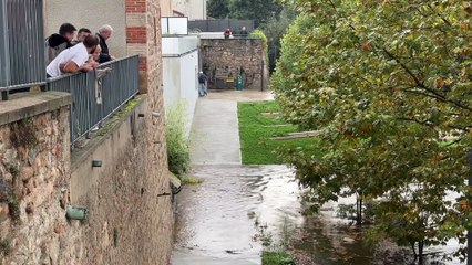 Les habitants de Saint-Just-Saint-Rambert gardent un oeil sur la Loire