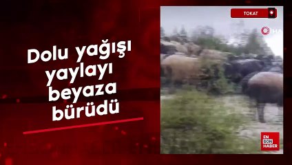 Tokat'ta dolu yağışı yaylayı beyaza bürüdü