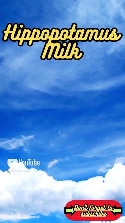 Animal Facts          Hippopotamus Milk        #shorts151