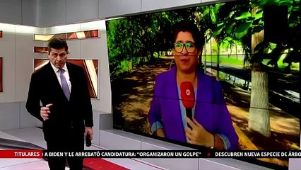 Difunden video de ataque a balazos a bar en Irapuato; una persona murió