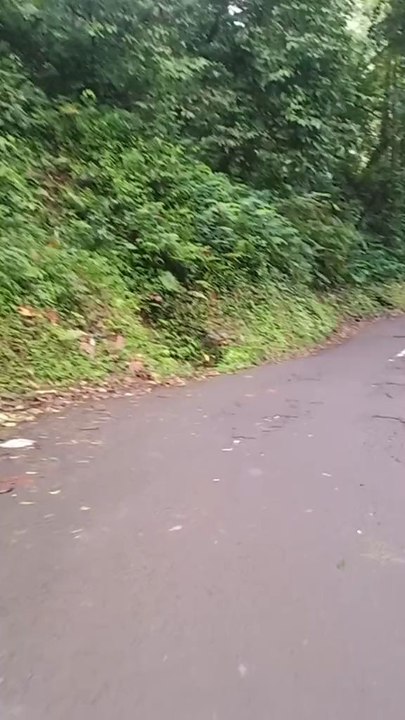 journey