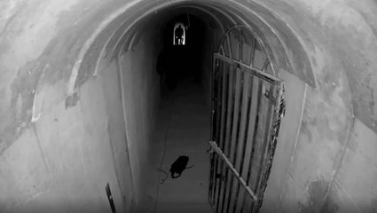 Last known footage of Yahya Sinwar resurfaces as Israel says it has killed Hamas leader