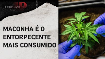 Mais de 200 milhões de pessoas usaram drogas em 2022, diz relatório mundial | DOCUMENTO JP