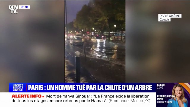 Intempéries: un homme meurt après la chute d'un arbre dans le 19e arrondissement de Paris, deux enfants en urgence relative