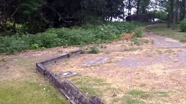 King Crimson's 1968's ''I talk to the wind , re-creation of that mass concert progressive orchestral-guitar phenomenon