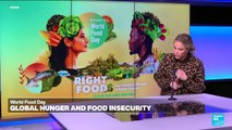 World Food Day 2024: The global challenge of hunger and food insecurity