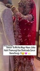 Ameer To Nahi Houn Magar Haan Jiska Hath Thamungi Use Shahzada Zarur Bana Dungi  #marriage #viral