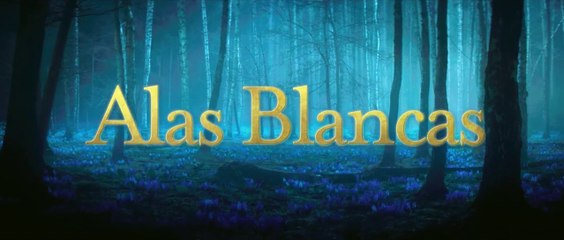 Alas Blancas (White Bird: A Wonder Story) - Trailer Oficial