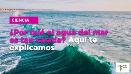 ¿Por qué el agua del mar es tan salada? Aquí te explicamos