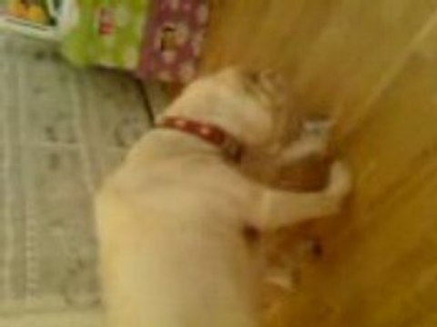 Gaara et Jules jouent