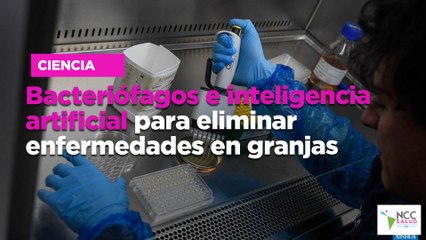 Bacteriófagos e inteligencia artificial para eliminar enfermedades en granjas