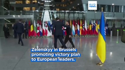 Zelenskyy stresses 'NATO unity for Ukrainian cause' after meeting with alliance's chief