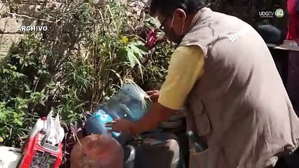 Sólo esta semana, cuatro personas murieron en Jalisco por dengue