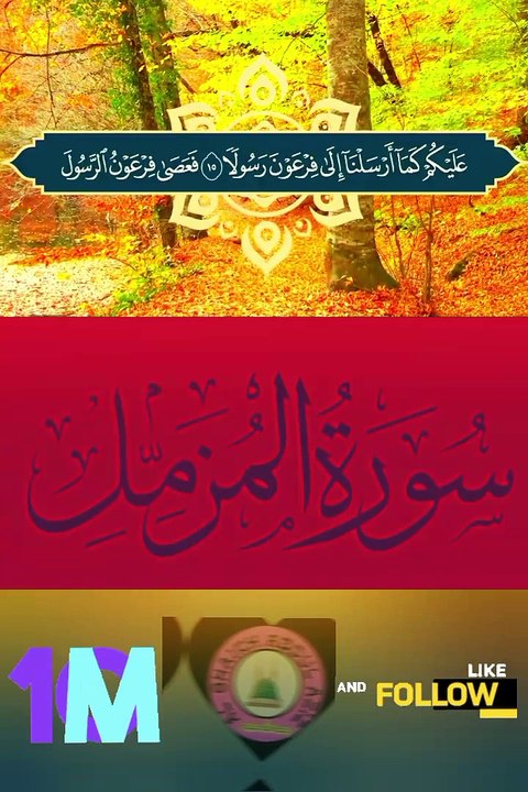 Recitation Of Qur'an.. Récitation du Coran   #tilawat #tilawah #fyp