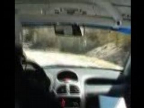 RALLYE VENASQUE 2008 ES 9 LA LIGNE CABART/PEREZ 206 N°104