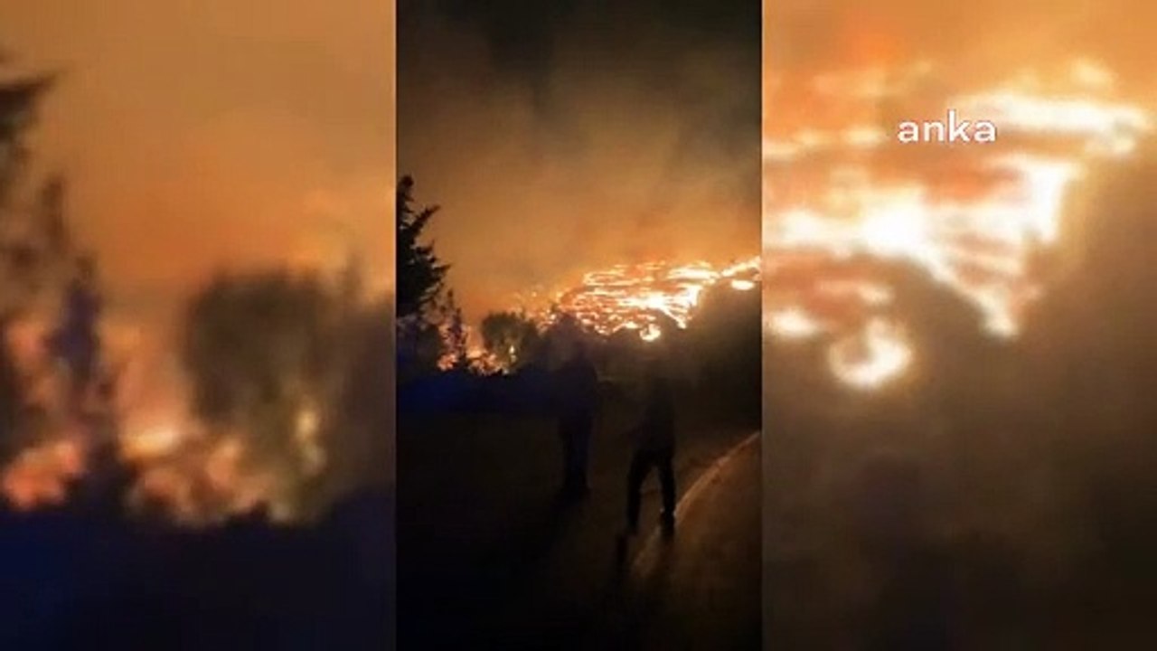 Dalaman'da orman yangını alarmı! Belediye başkanı ‘hava desteği’ istedi
