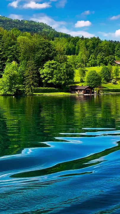 Nature of river_lake_greenwhich_Animation_Cartoons_Funny_entertainment