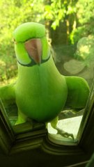 Enjoy the beauty of Nature