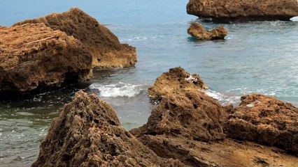 Aries and Sagittarius Compatibility in Love (2024)