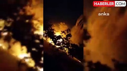 Muğla'da Orman Yangını: Ekipler Mücadele Ediyor