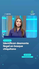 Identifican desmonte ilegal en bosque chiquitano