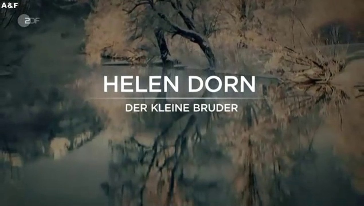 Helen Dorn -18- Der kleine Bruder