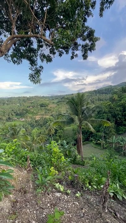 My view in philippine
