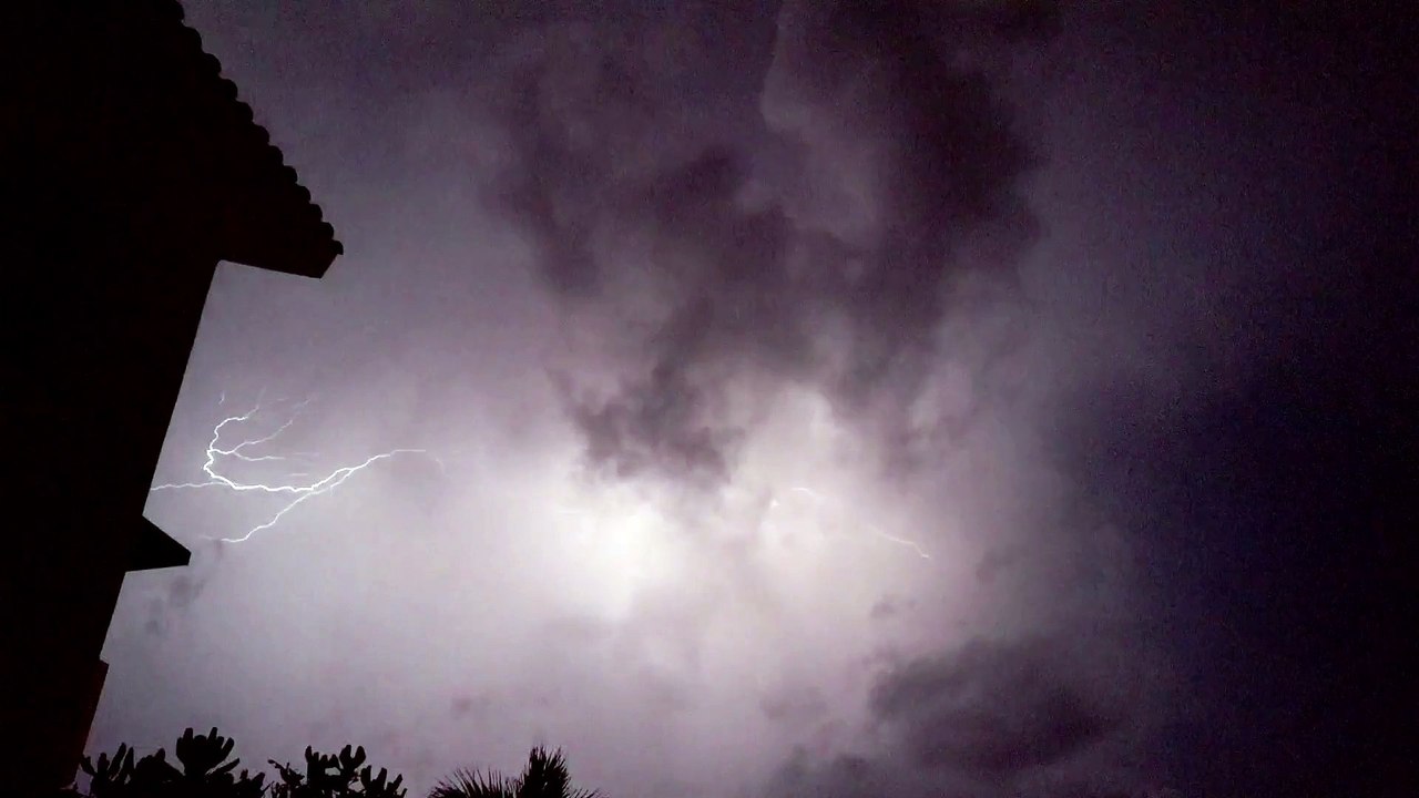 Nature video
