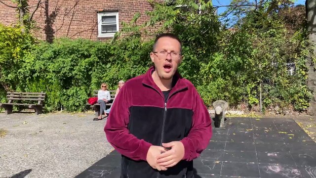 Eco Worthy 100 watt Bifacial 12v 100w Solar Panel Review Is It Any Good #wisebuyreviews