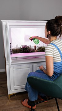 Des astuces et des bricolages utiles pour vos plantes !
