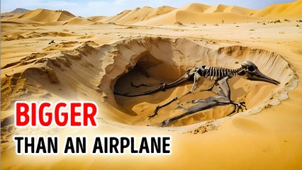 This Is the Biggest Animal to Ever Rule the Skies