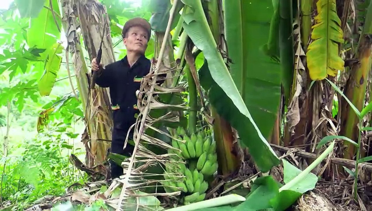 Dwarf Family Harvesting Corn Garden Goes to the market sell Make