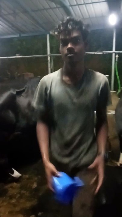 Milk farm