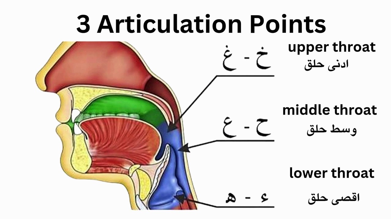 Learn Throat letters - video Dailymotion