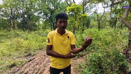 540 फिट ऊंचा – छत्तीसगढ़ का सबसे ऊंचा जलप्रपात – नंबी जलप्रपात बीजापुर छत्तीसगढ़ _ Bastar _ Dk808