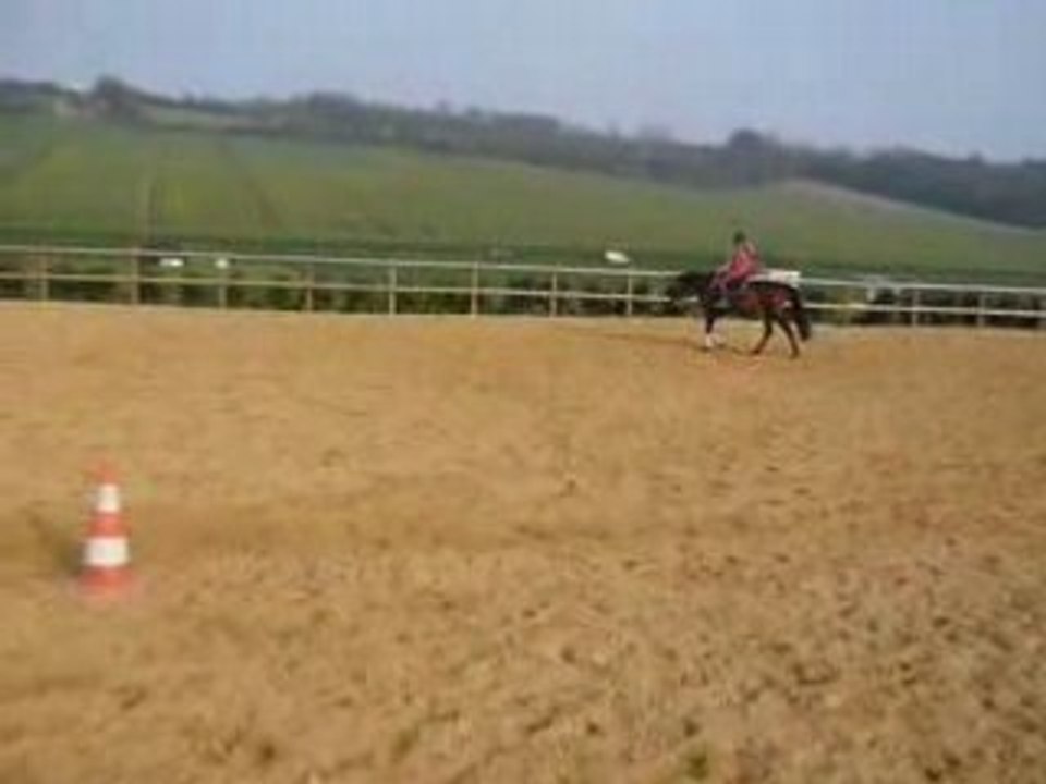 Reprise-de-dressage